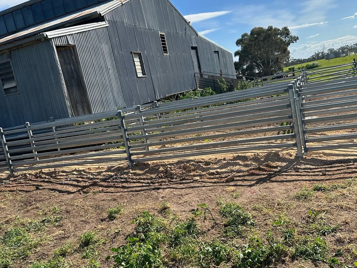 Stone Group Engineering shed and livestock yards