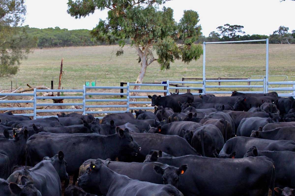 Rockalen Pastoral yard project